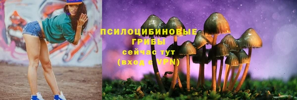 трава Балахна