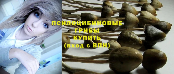 трава Балахна