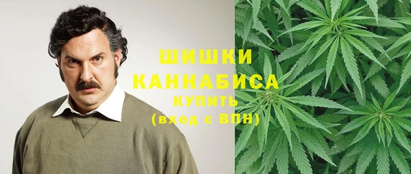 трава Балахна
