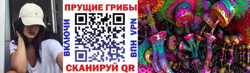 ОМГ ОМГ   наркошоп  Борисоглебск  Псилоцибиновые грибы прущие грибы 