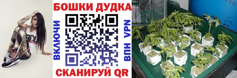 Марихуана ГИДРОПОН  Борисоглебск 